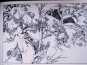 彩色連環(huán)畫(huà)大書(shū) 林海雪原 曬單實(shí)拍圖