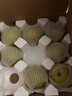 碭睿正宗碭山翠冠梨翠玉梨青皮蜜梨皇冠梨蘋果梨雪梨新鮮水果現(xiàn)摘現(xiàn)發(fā) 5斤（7-9個果【大果】彩箱） 曬單實拍圖