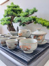 品悅詩(shī)風(fēng)汝窯鎏金龍鳳功夫茶具套裝高檔送長(zhǎng)輩父親節(jié)新婚生日壽宴退休禮物 鎏金粉汝窯龍蛋壺+禪定杯+茶點(diǎn)盤 曬單實(shí)拍圖