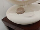 海爾（Haier）空氣循環(huán)扇電風扇臺式風扇桌面家用小型臺扇小風扇輕音廚房壁扇宿舍臥室辦公搖頭渦輪換氣扇 【臺壁兩用】循環(huán)搖頭款HFX-J2049A 曬單實拍圖