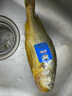 三都港 冷凍寧德大黃魚700g/2條裝 黃花魚 生鮮魚類 深海魚 燒烤 曬單實(shí)拍圖