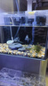 亞峰超白魚(yú)缸小型客廳小魚(yú)缸生態(tài)玻璃缸斗魚(yú)金魚(yú)缸家專(zhuān)用桌面造景全套 30CM缸+防跳缸蓋+過(guò)濾器+燈（送大禮包） 曬單實(shí)拍圖