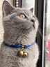 橙央貓項圈貓咪鈴鐺狗狗寵物幼小中型貓貓犬脖圈頸項鏈裝飾用品 1.4厘米古銅鈴鐺-寶藍色 S碼(參考體重2-7斤) 曬單實(shí)拍圖