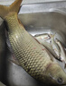 浪尖悍將浪尖悍將海竿拋竿釣魚竿套裝組合鰱鳙全套特價超硬大物遠投竿海桿 3.6m 裸竿（自帶地插） 曬單實拍圖