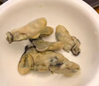 北海印象【北海產(chǎn)地】生蠔干250g牡蠣干海產(chǎn)干貨煲湯煮粥材料源頭直發(fā)包郵 曬單實拍圖