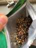 寵德奇鸚鵡糧美毛愛護腸胃虎皮玄武牡丹鳥糧中小型鸚鵡通用糧cdq 鸚鵡糧1包裝【1kg】 曬單實拍圖