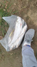 進口碳氟線正品魚線路亞前導線超強拉力碳素主線子線釣魚線漁線不 （買一送一）透明色碳氟線 120米 1.5號 曬單實拍圖