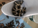 【活蟹】乾澄大閘蟹現(xiàn)貨 全母2.3-2.6兩8只 六月黃鮮活螃蟹去繩足重海鮮禮盒裝源頭直發(fā) 曬單實(shí)拍圖