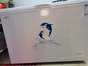 澳柯瑪（AUCMA）307升減霜冰柜家用大容量冷藏柜冷凍柜 臥式冷柜冰箱雪糕柜一級(jí)能效 BC/BD-307HNE 國(guó)家補(bǔ)貼20% 曬單實(shí)拍圖