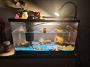 闊庭（KUOTING）魚缸水族箱生態(tài)桌面魚缸新款懶人魚缸生態(tài)造景過濾制氧一體機黑色 曬單實拍圖
