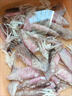 筆管魚(yú)新鮮冷凍野生海捕筆管魚(yú)小魷魚(yú)小海兔子現捕新鮮海鮮水產(chǎn) 筆管魚(yú)1000g 曬單實(shí)拍圖
