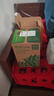 農(nóng)夫山泉 東方樹葉綠茶500ml*15瓶無糖茶飲料0糖0脂0卡整箱裝夏天解渴飲品 曬單實拍圖