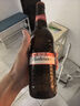 百威啤酒500ml瓶裝整箱小麥大瓶裝國產(chǎn)老百威拉格黃啤 500mL 12瓶 單瓶裝 曬單實拍圖