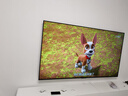 TCL電視 85T6L Pro 85英寸 QD-Mini LED 蝶翼星曜屏 萬(wàn)象分區(qū) 絢彩XDR 1300nits DeepSeek 國(guó)家補(bǔ)貼 曬單實(shí)拍圖