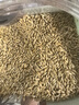 捕漁達(dá)人【加拿大進(jìn)口】加納利子500g鸚鵡鳥食油尖粟鳥糧飼料麻雀鴿子糧食 曬單實(shí)拍圖