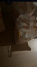 宜嬰牛奶小內(nèi)褲超薄透氣拉拉褲寶寶柔軟尿不濕XXXXL60片【17-19kg】 曬單實(shí)拍圖