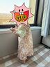巴拉巴拉童裝嬰兒連衣裙女童裙子兒童寶寶公主裙夏裝國風(fēng)甜美 紅色調00366 100 曬單實(shí)拍圖