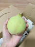 櫻鮮正宗連平鷹嘴桃蜜桃禮盒裝【JD-多地次日達】廣東河源甜脆水蜜 精選果3斤 小果(4-7個(gè)/斤) 曬單實(shí)拍圖