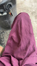 森馬（Semir）【大促福袋】休閑褲男女簡約百搭長褲夏季運動風潮流褲子 男-B款酒紅【傘兵工裝褲】 L 曬單實拍圖
