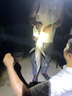 畫中仙魚竿手桿超輕超硬釣魚竿鯽魚竿野釣碳素小綜合竿黑坑綜合桿臺釣竿 6.3m 19調(diào)+釣魚禮包 曬單實(shí)拍圖