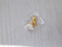 禮意久久白玉黃金四葉草項(xiàng)鏈女生日禮物女生七夕情人節(jié)送老婆女友2025新款 曬單實(shí)拍圖