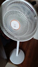 鉆石牌電風(fēng)扇家用【AI語音+1級能效+純銅電機(jī)】智控大風(fēng)落地扇搖頭扇臥室客廳宿舍空調(diào)伴侶DFS-ZBR08 曬單實(shí)拍圖