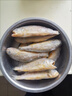 小黃花魚新鮮冷凍燒烤小黃魚生鮮水產(chǎn)活海魚海鮮整箱商用批發(fā)順豐 小黃花魚3斤【6-7條/斤】 曬單實拍圖