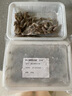 捕漁笙微山湖每日生態(tài)漁捕河蝦新鮮活蝦速凍小青蝦淡水草蝦大號醉蝦明蝦 3-4厘米小號河蝦 250克/盒*4盒（共2斤） 曬單實(shí)拍圖