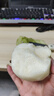 安徽正宗碭山酥梨梨子酥脆當(dāng)季新鮮水果香梨脆雪梨特產(chǎn)整箱包郵 凈重8.5斤【酥脆一號-口感更脆甜 曬單實(shí)拍圖