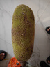 幽果匠海南黃肉菠蘿蜜干苞當(dāng)季新鮮一整個大樹木菠蘿生鮮三亞特產(chǎn)波羅蜜 30-35斤 曬單實拍圖