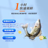 鮮京采三去海鱸魚3斤/3條 生鮮魚類 白蕉鱸魚地標(biāo) 無(wú)冰凈重3斤 源頭直發(fā) 曬單實(shí)拍圖