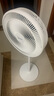 美的（Midea）電風(fēng)扇 家用七葉立式落地扇宿舍臥室輕音節(jié)能搖頭桌面小風(fēng)扇大風(fēng)力空氣循環(huán)風(fēng)扇 SAF30AC  曬單實(shí)拍圖