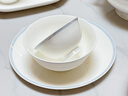 吉樂(lè)馳（JILECHI）餐具套裝簡(jiǎn)約北歐風(fēng)喬遷結(jié)婚送禮景德鎮(zhèn)碗盤碟家用輕奢精美實(shí)用 10人食素年錦  60頭 曬單實(shí)拍圖