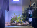 YEE水草飛碟燈爆藻草缸燈led全光譜支架吊燈筒燈防魚(yú)缸燈植物生長(cháng)燈 【智能飛碟燈100w-環(huán)形透鏡-9種顏色】 曬單實(shí)拍圖