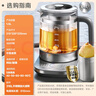 蘇泊爾（SUPOR）純鈦養(yǎng)生壺 玻璃面板燒水壺 316L不銹鋼恒溫煮茶器  加大濾網(wǎng) 電熱水壺多段保溫1.5L SW-15YJ55 曬單實拍圖