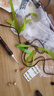 得力（deli）電烙鐵套裝家用小型焊錫槍維修焊接烙鐵專業(yè)級電焊錫焊神器電洛鐵 90W數(shù)顯調(diào)溫180-450°【專業(yè)款】 曬單實(shí)拍圖