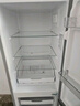 上菱183升雙開門冰箱小型出租房2-3人用 出租屋家用兩門二門小戶型雙門電冰箱以舊換新BCD-183D 曬單實(shí)拍圖