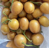 山姆伯伯廣東雞心黃皮果【順豐閃送】無(wú)核黃皮新鮮水果禮盒 3斤【巨劃算 | 20%選擇】?jī)?.1斤 7A級(jí)精選果丨保溫箱+冰袋 曬單實(shí)拍圖