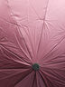 天堂 全自動(dòng)雨傘三折 10骨加固一鍵開收易甩干簡(jiǎn)約晴雨傘 深栗紅 曬單實(shí)拍圖