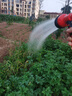 AOLALBOM奧萊邦24V充電抽水機(jī)菜地澆水機(jī)澆菜園子水神器充電水泵便攜式澆菜神器 【H555單電池】5米管 曬單實(shí)拍圖