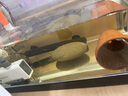 森森魚缸水泵周轉(zhuǎn)箱滴流盒智能變頻水泵底濾過濾槽循環(huán)水泵底吸 【底吸款】24W任意調(diào)節(jié)（帶控制器） 曬單實(shí)拍圖
