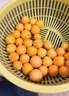 儲(chǔ)褚正宗東北姑娘果 菇娘果 燈籠果 新鮮當(dāng)季水果現(xiàn)摘順豐包郵 精選3斤裝【單果3-6g順豐】 曬單實(shí)拍圖