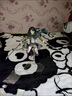 電邁動(dòng)漫 figma 進(jìn)擊的巨人 三笠203  艾倫207  兵長(zhǎng)213 盒裝手辦 三 兵長(zhǎng)213# 曬單實(shí)拍圖