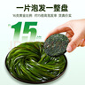 小海故事 有機壓縮海帶絲 凈含量16g*10片/盒 源頭直發(fā) 小圓餅高泡發(fā)免洗 曬單實拍圖