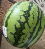 【產(chǎn)地直采】麒麟奶油西瓜 約4.5kg 曬單實(shí)拍圖
