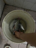 ABU GARCIA阿布旋轉亮片路亞餌遠投翹嘴淡水通殺馬口野釣鱒魚(yú)海釣仿生假餌 3g 裂變 曬單實(shí)拍圖