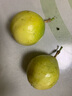 京鮮生廣東欽蜜9號黃金百香果3斤凈重40-60g /24-36個生鮮水果 源頭直發(fā) 曬單實拍圖