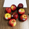新西蘭紅玫瑰蘋(píng)果進(jìn)口queen蘋(píng)果脆甜新鮮水果10個(gè)大標(biāo)簽隨機(jī) 10個(gè)（單果130-150g） 曬單實(shí)拍圖