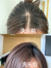 維特絲洗發(fā)水防脫育發(fā)固養(yǎng)發(fā)男女士生姜控油去屑側(cè)柏葉洗頭膏露金榜第1 曬單實(shí)拍圖