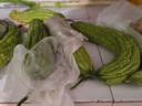 新鮮現(xiàn)摘當(dāng)季綠色蔬菜苦瓜涼瓜清脆爽口青皮涼拌瓜山東新鮮苦瓜 現(xiàn)摘現(xiàn)發(fā)新鮮苦瓜 5斤 曬單實拍圖
